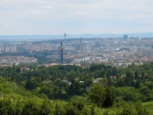 kahlenberg